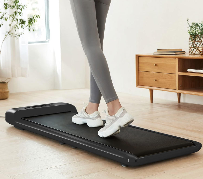 Lifespan WalkingPad M2 Treadmill