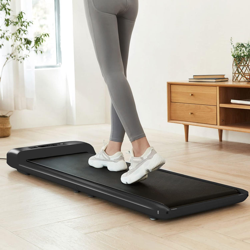 Lifespan WalkingPad M2 Treadmill