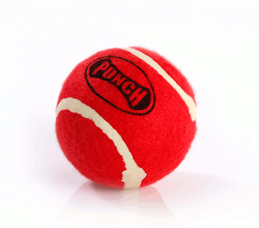 PUNCH REFLEX BALL